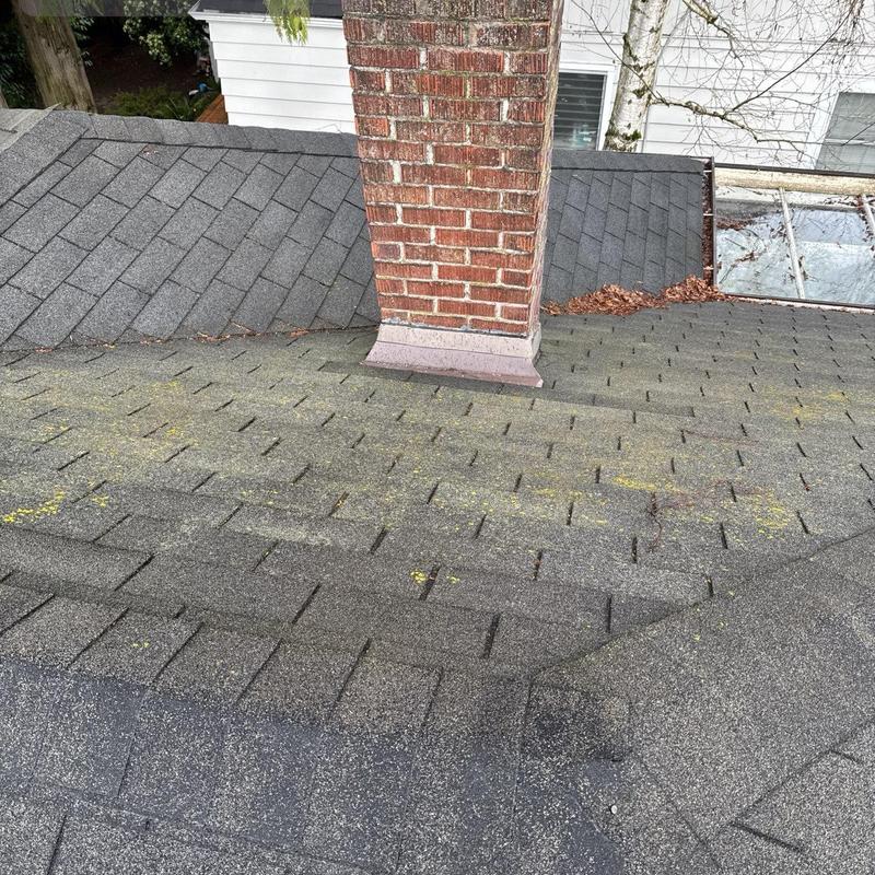 Chimney flashing and roof shingles with moss buildup