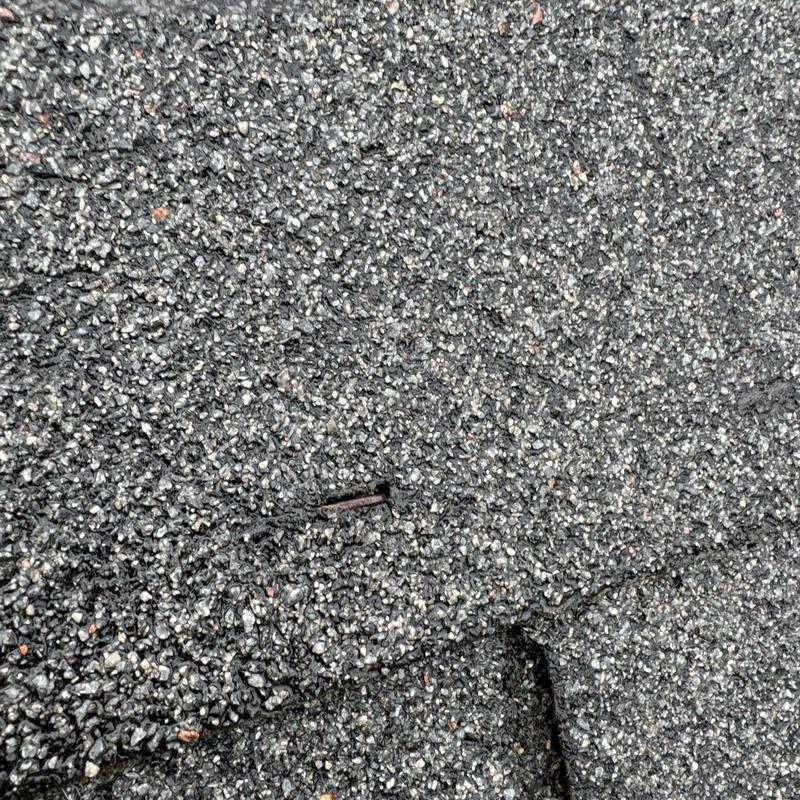 Asphalt shingle roof with exposed nail and granule wear