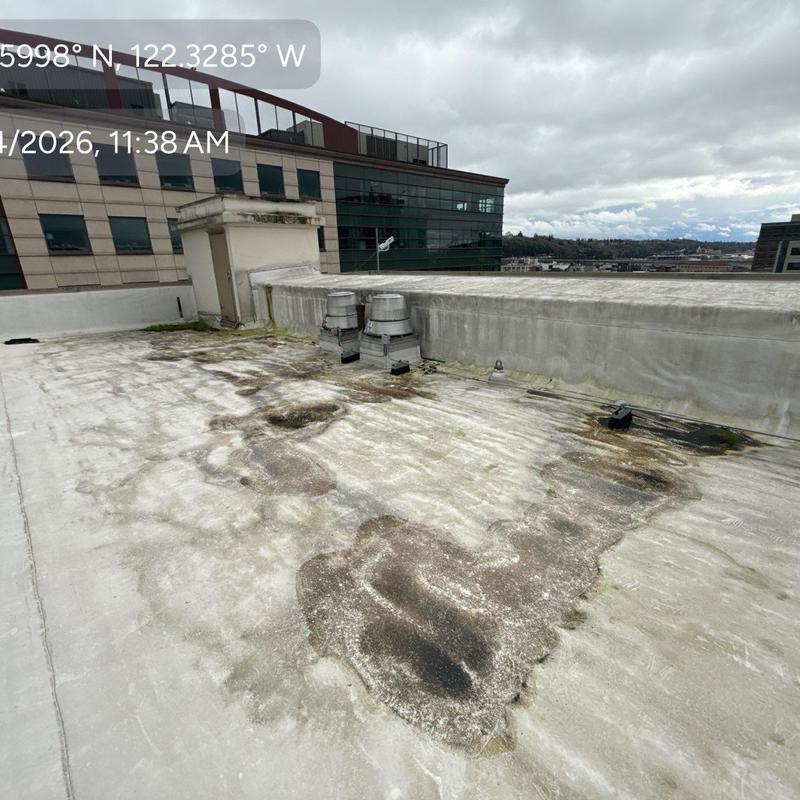 Flat roof membrane with visible water damage and wear