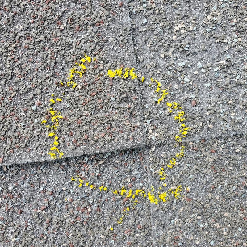 Asphalt shingles with hail damage marked in yellow
