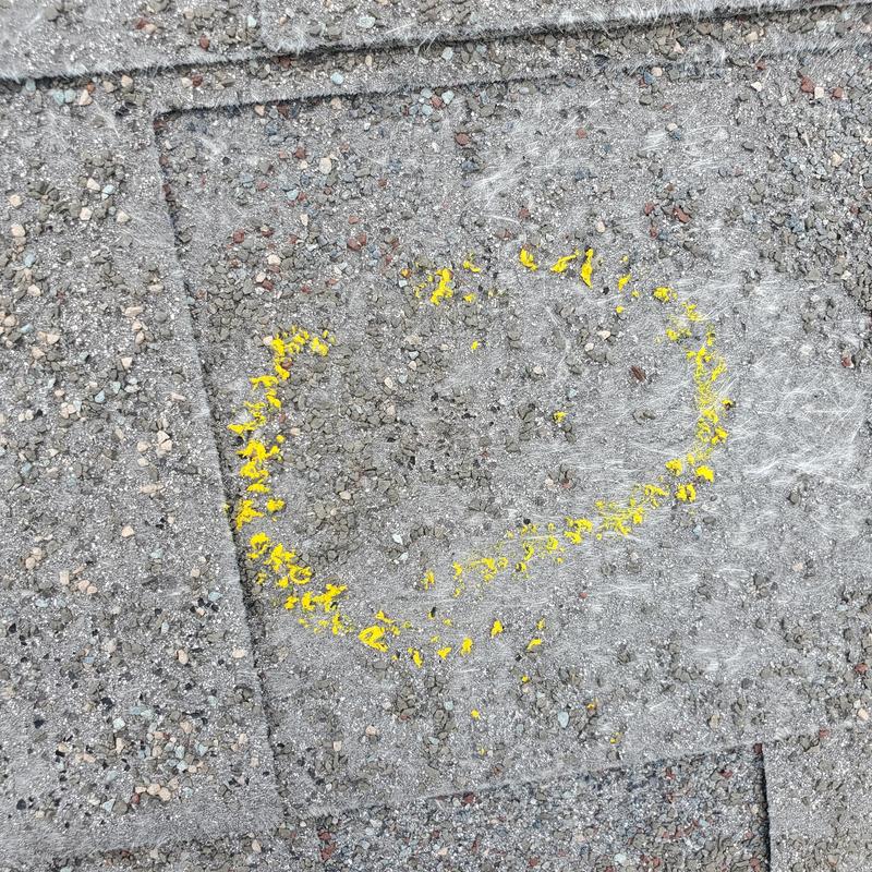 Asphalt roofing shingle hail damage marked in yellow