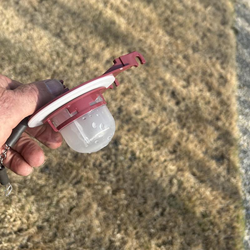 Toilet flush valve seal replacement part held outdoors Toilet flush valve seal replacement part held outdoors