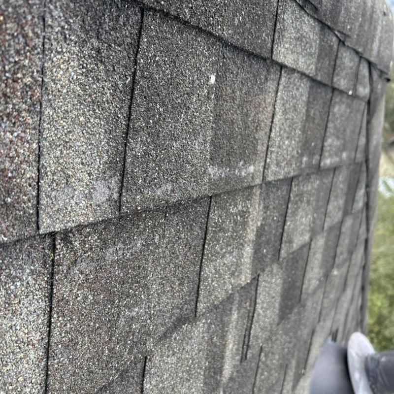 Asphalt shingle roof with hail damage and granule loss