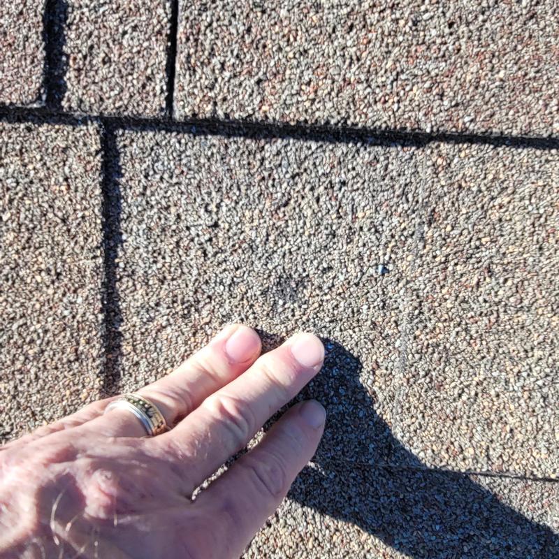 Asphalt roof shingle with minor hail damage close-up