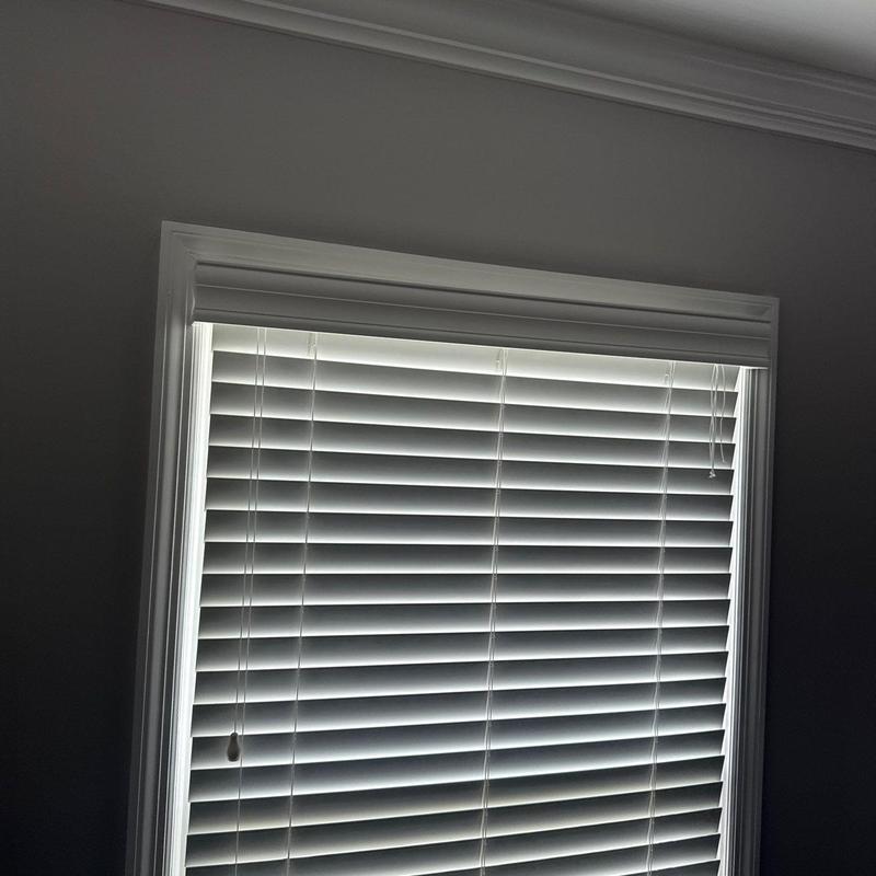 Window blinds with partial natural light filtering