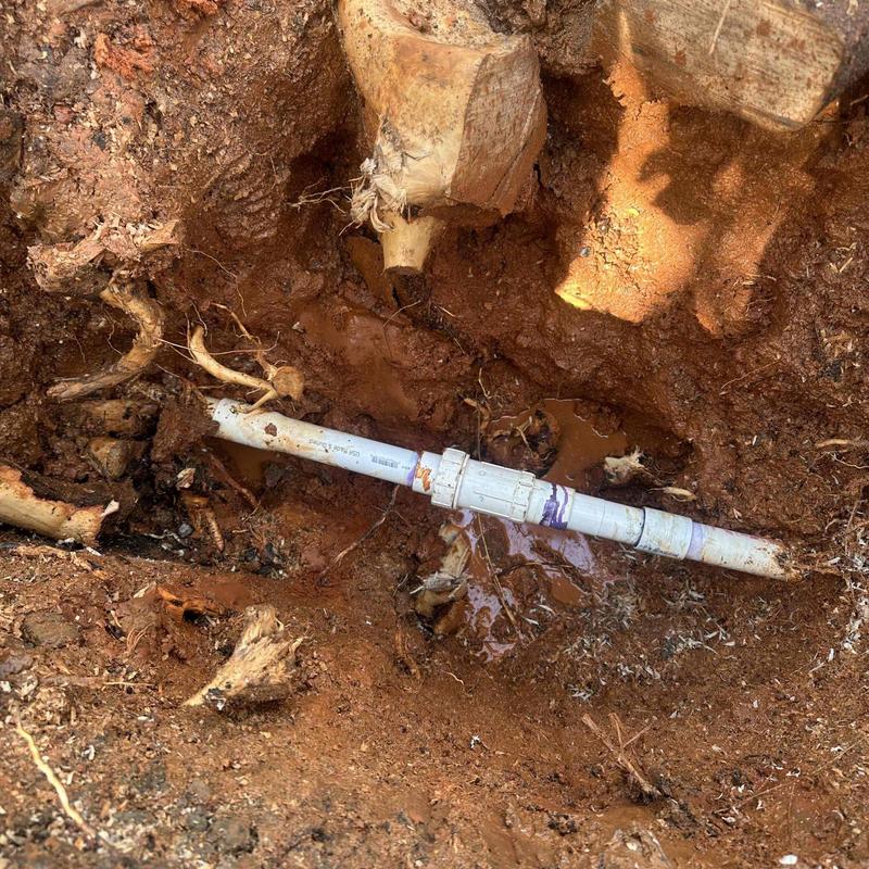 PVC underground plumbing pipe with root excavation PVC underground plumbing pipe with root excavation