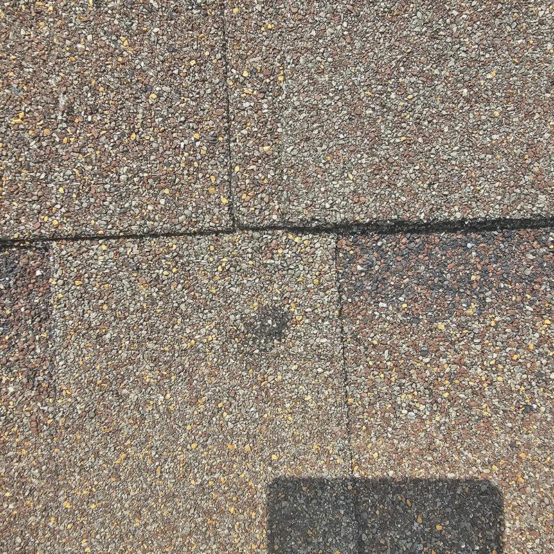Asphalt roof shingles with hail damage spot in Terrell TX
