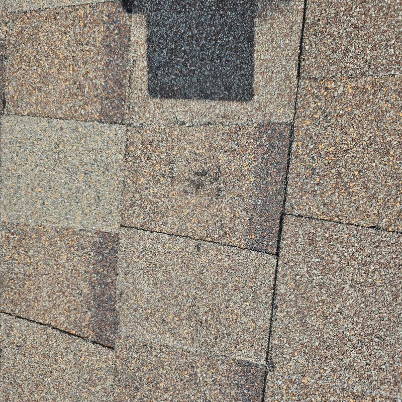 Asphalt roof shingles with hail damage marks