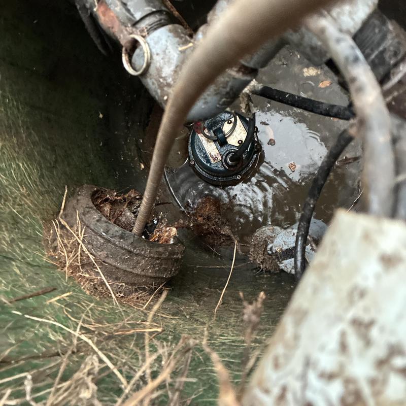 Sewer line cleanout with root blockage inside pipe