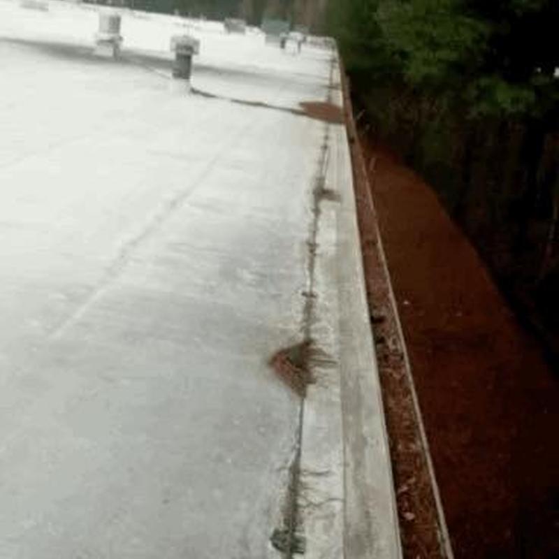 Commercial gutter edge on flat roof, cleaned leaves