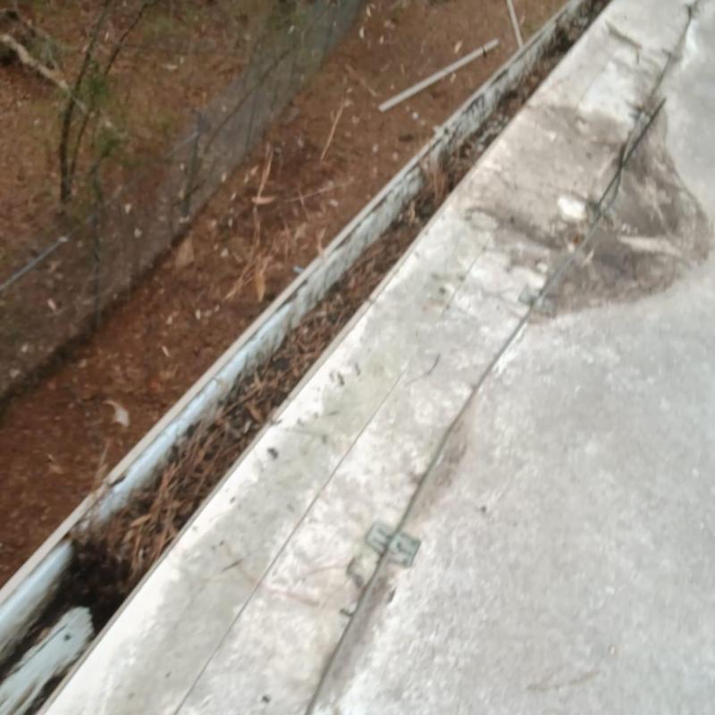 Commercial gutter filled with pine needles and debris