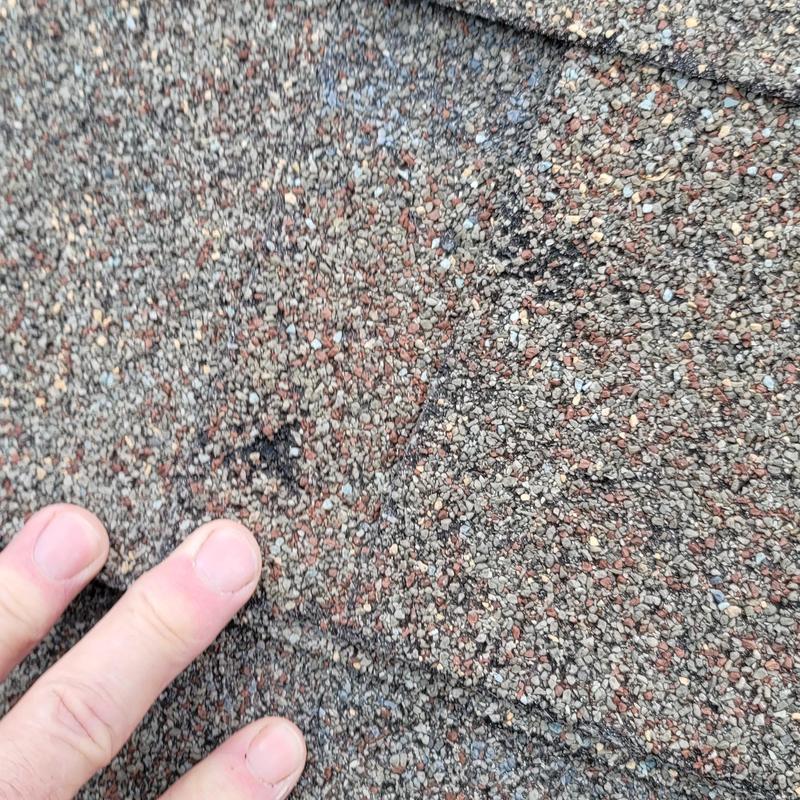 Asphalt shingle roof with hail damage inspection