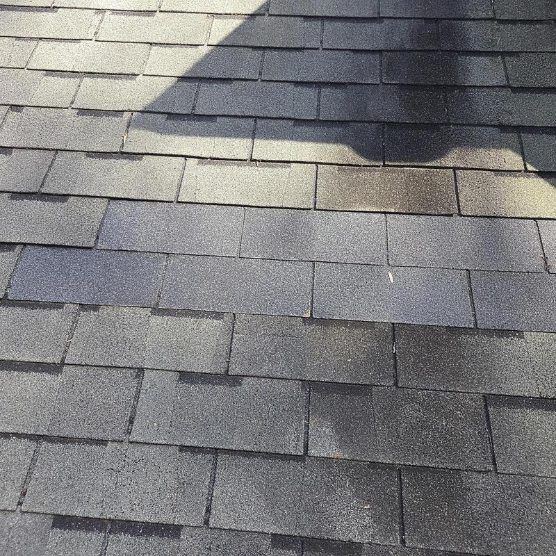 Asphalt shingles with replaced damaged sections