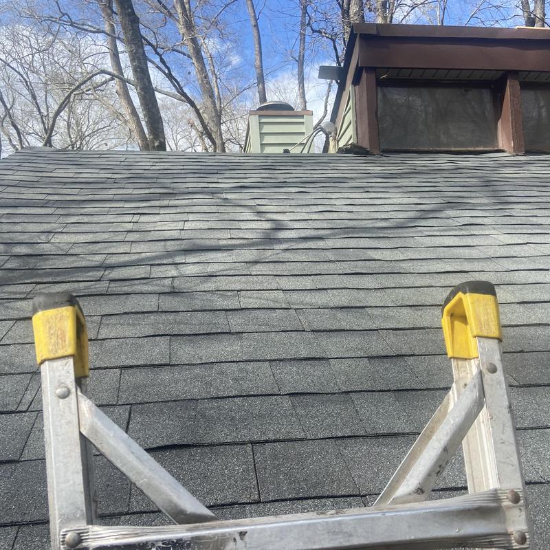 Asphalt shingle roof with ladder near repaired damage area