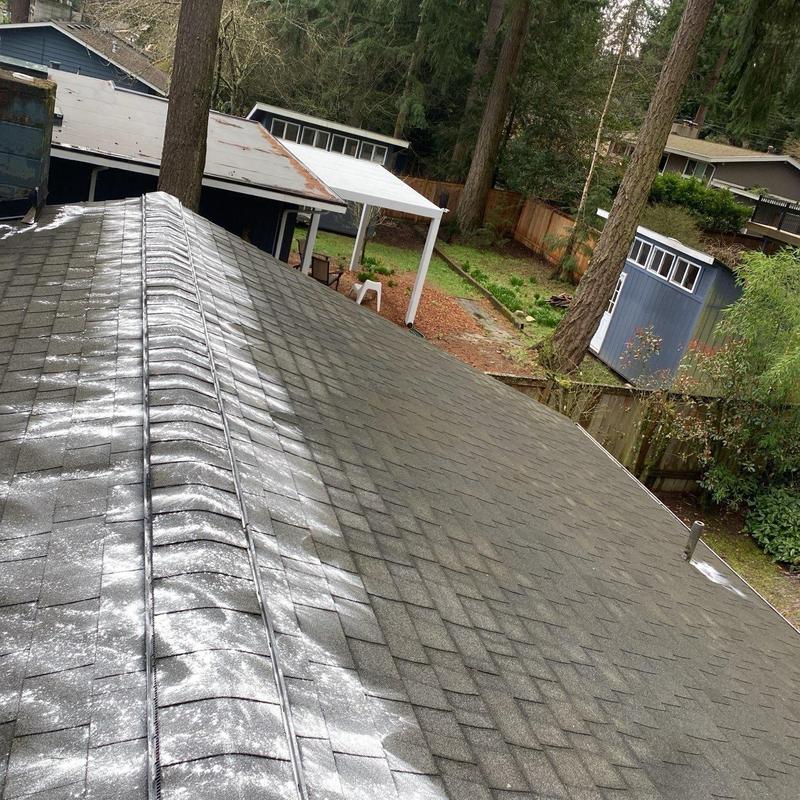 Roof shingles with moss treatment powder applied