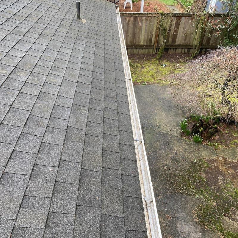 Roof shingles and gutter with moss buildup on roof edge