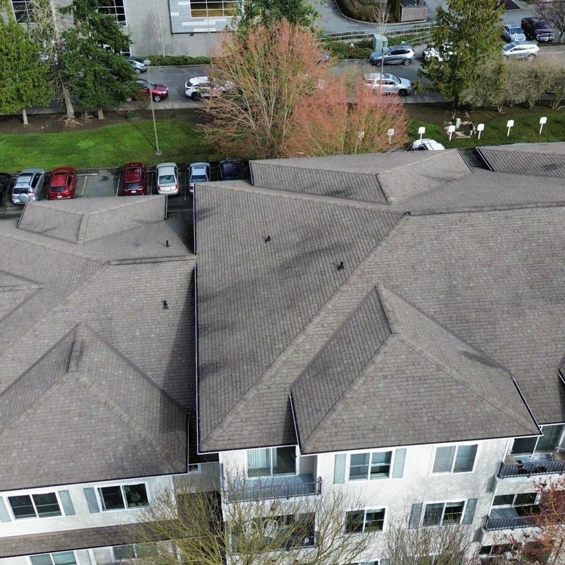Asphalt shingle roof aerial inspection with drone