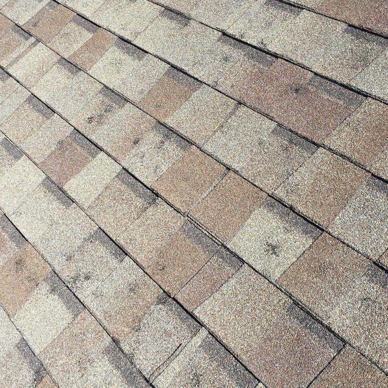 GAF Timberline HD roof shingles close-up after hailstorm GAF Timberline HD roof shingles close-up after hailstorm