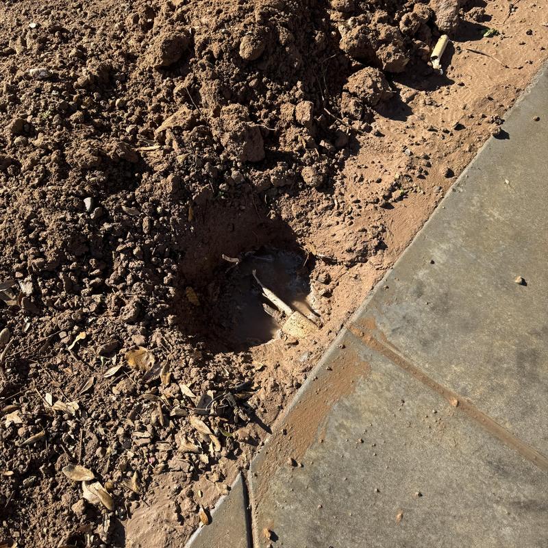 Mainline water valve exposed near sidewalk in soil