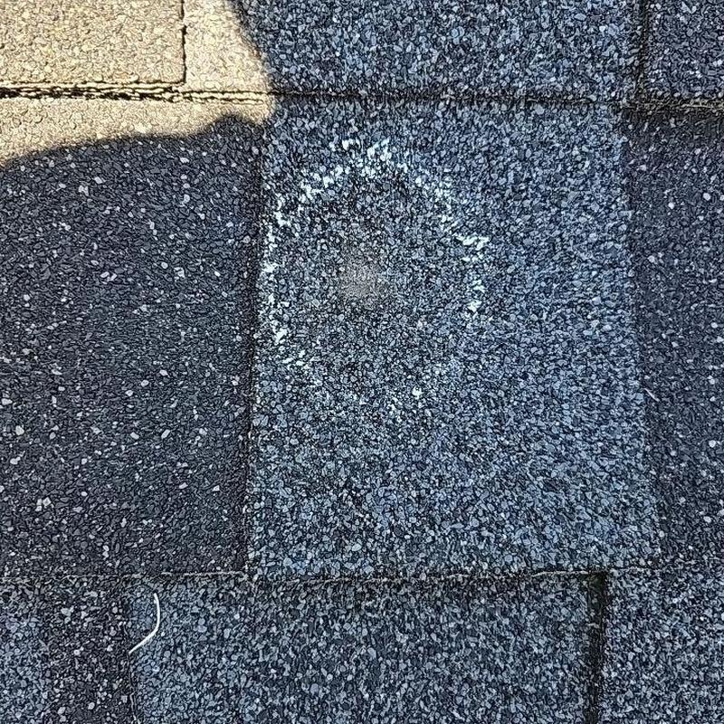 Roof shingle with marked hail damage spot Roof shingle with marked hail damage spot