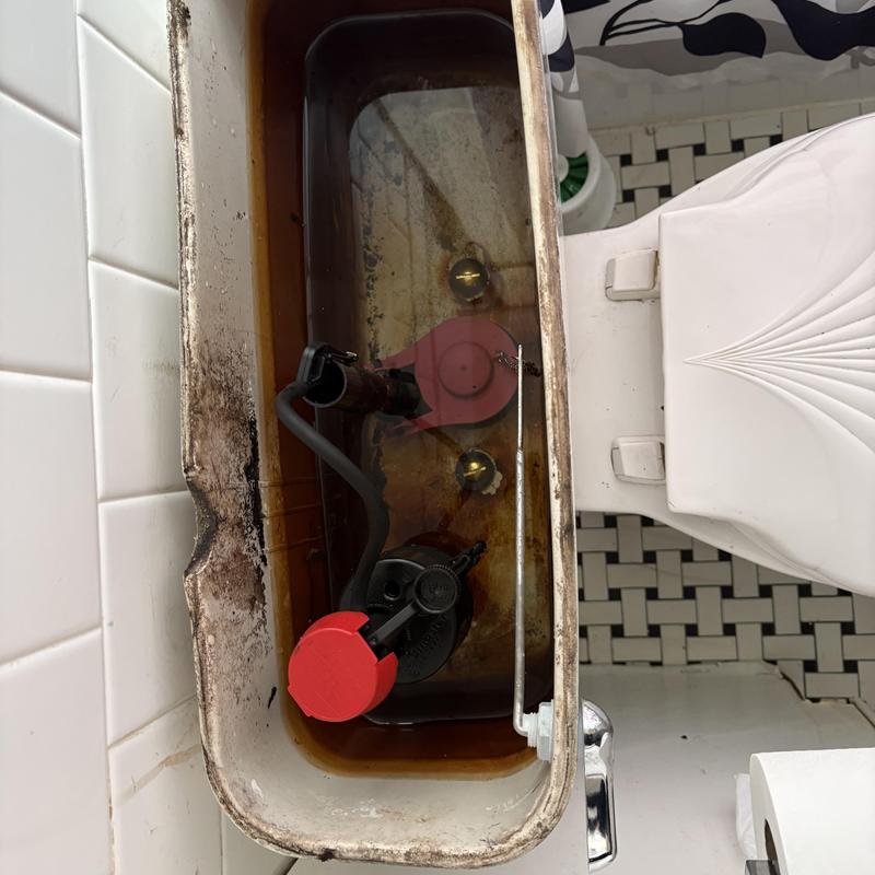 Toilet tank interior with corroded components and water