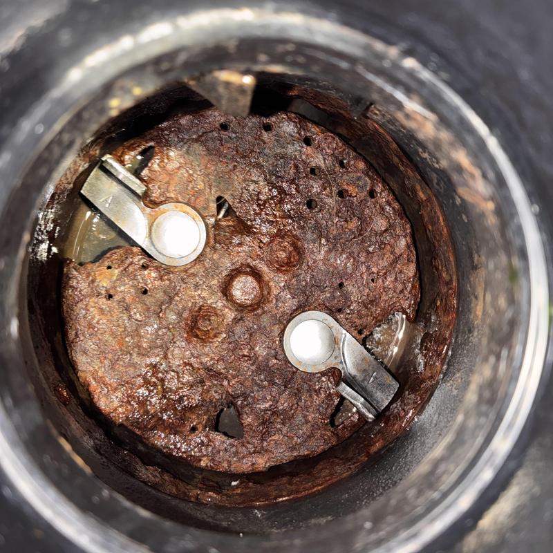 Rusty garbage disposal grinding plate inside drain bowl