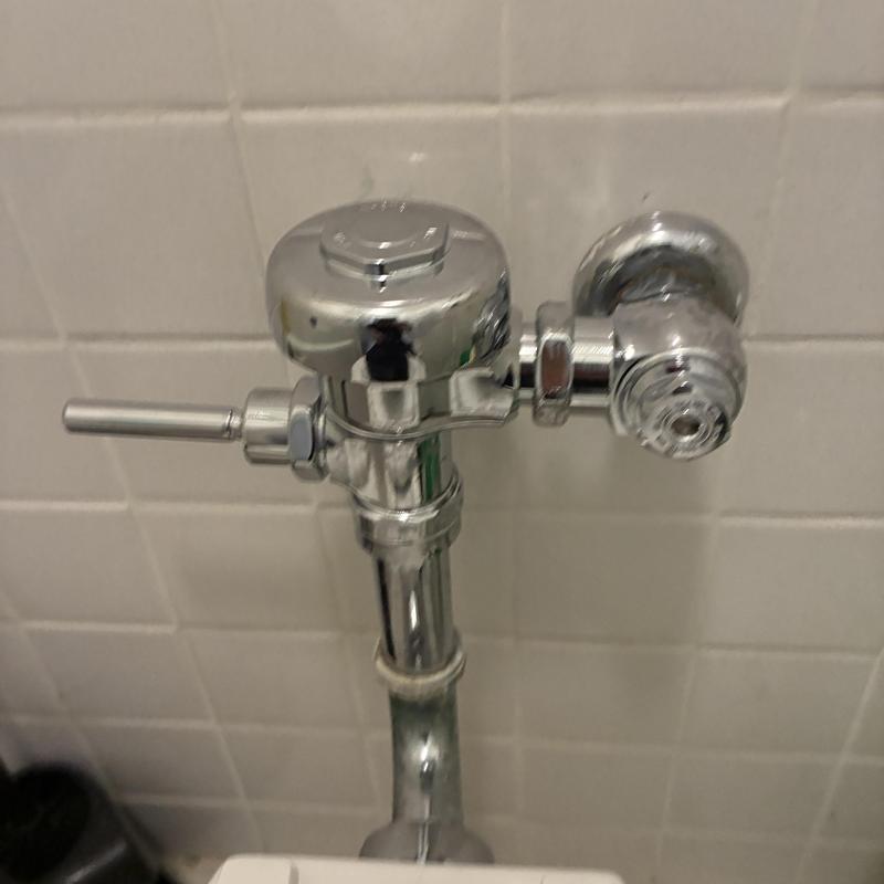 Flushometer valve installation and repair in restroom