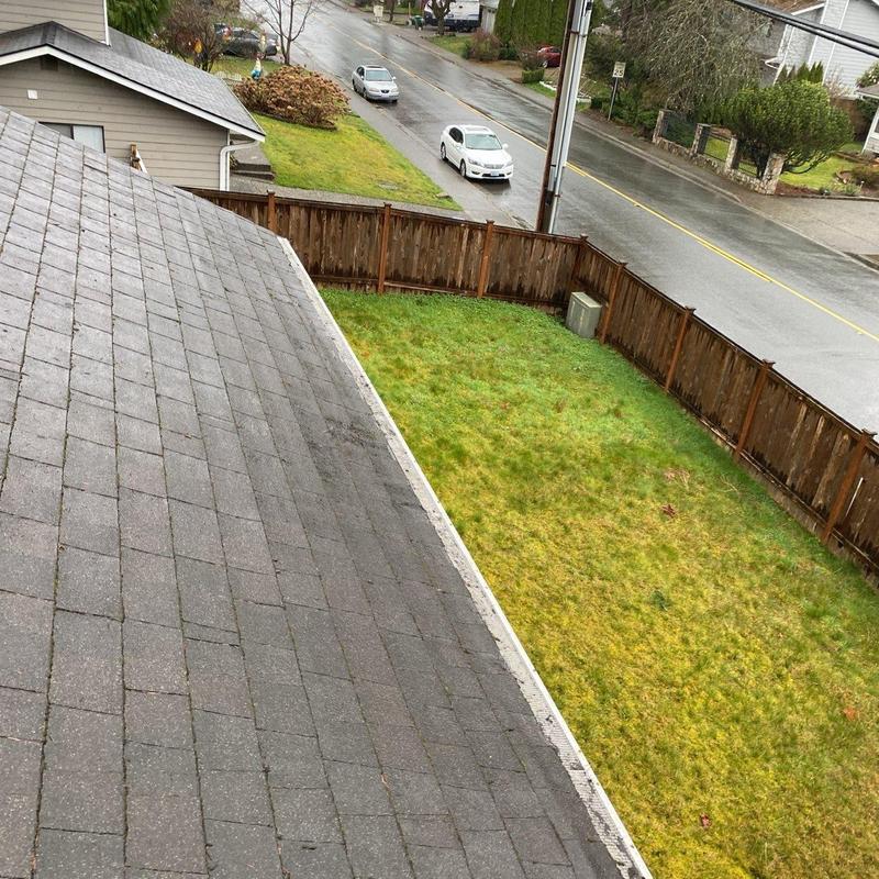 Roof shingles and gutter cleaning in residential area