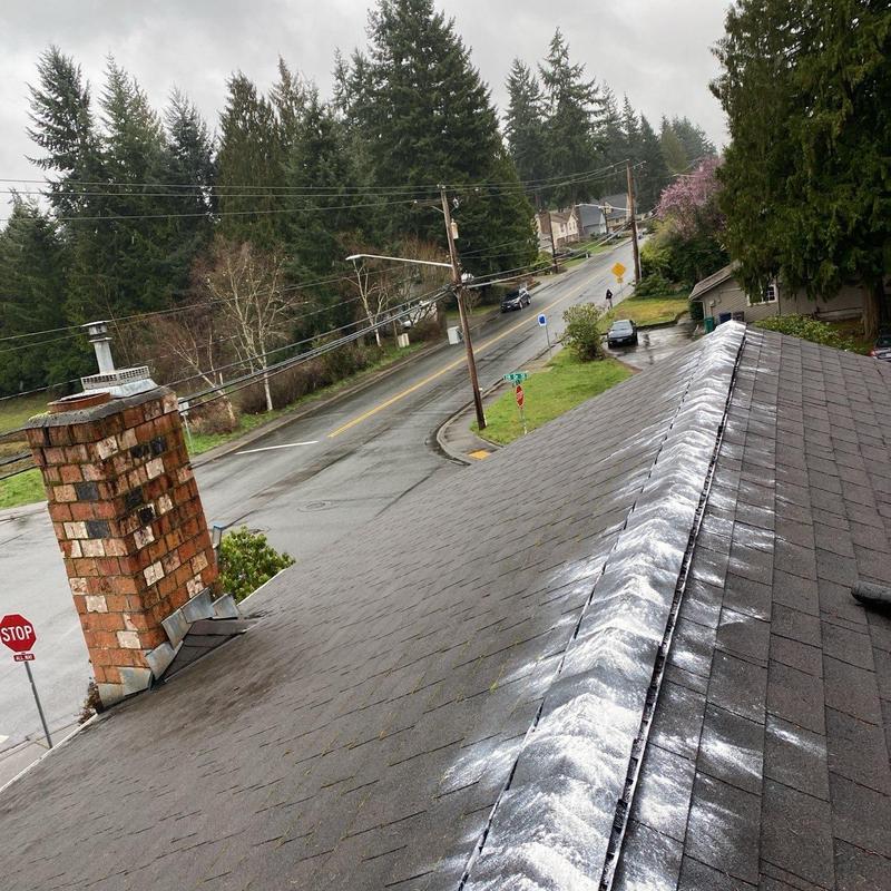 Roof ridge with moss treatment and leaf debris cleaning