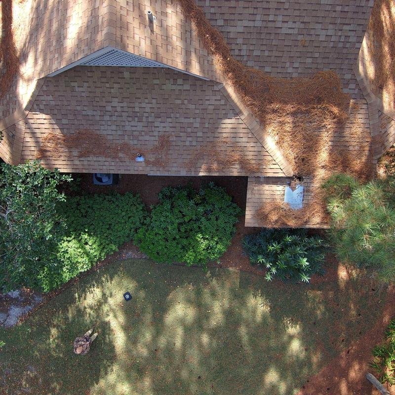 Asphalt shingle roof with pine straw accumulation Asphalt shingle roof with pine straw accumulation