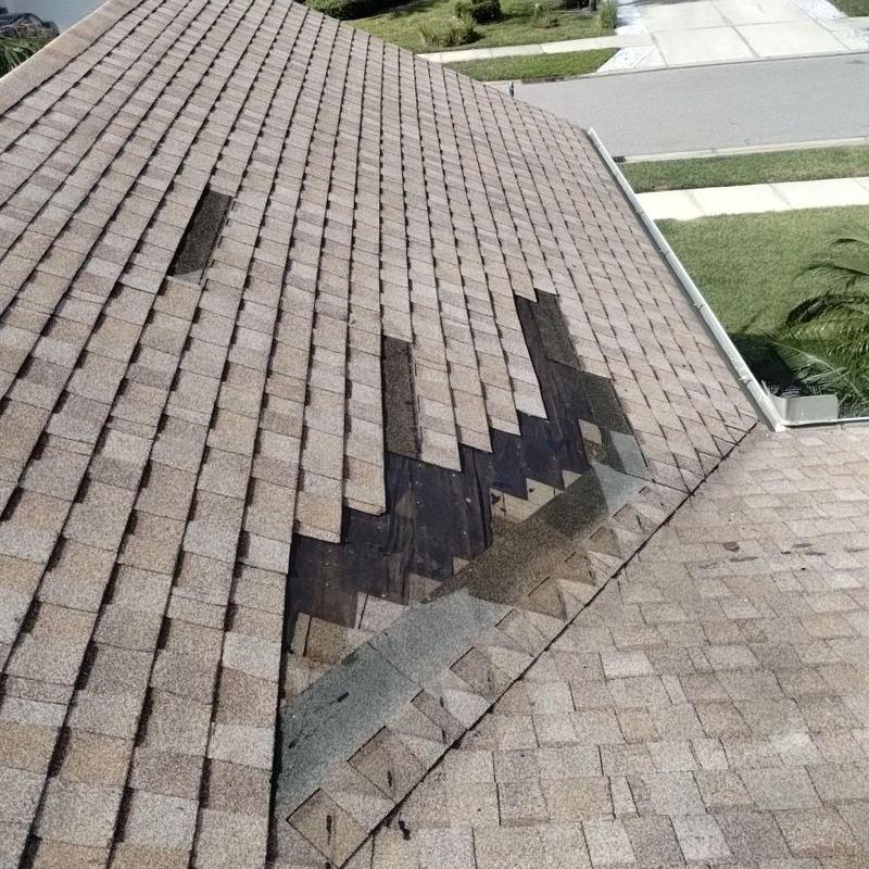 Roof shingles with missing and damaged sections