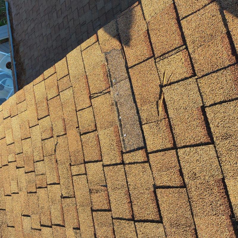 Roof shingles with removed pine straw maintenance Roof shingles with removed pine straw maintenance