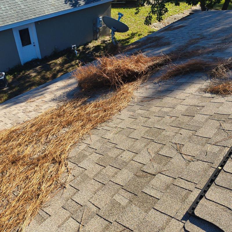 Roof shingles with pine straw debris buildup