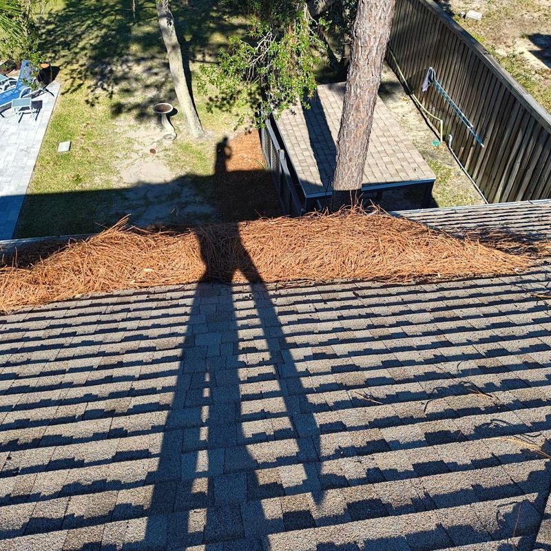 Roof ridge with pine straw accumulation and shadow