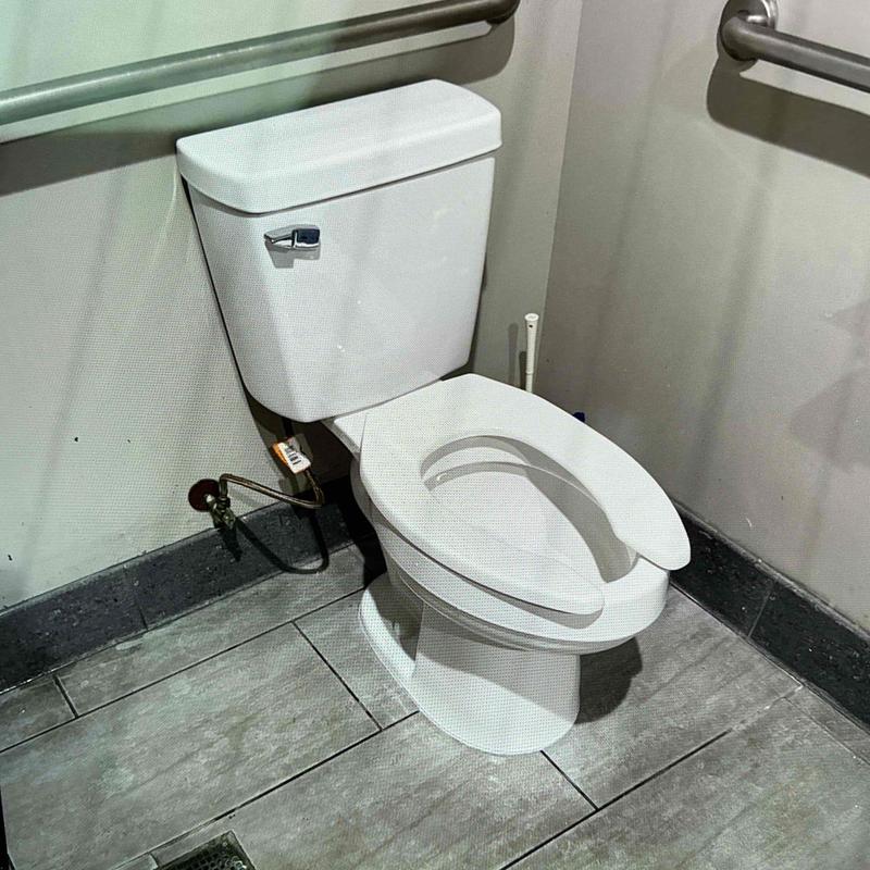 ADA-compliant toilet with commercial seat in restroom