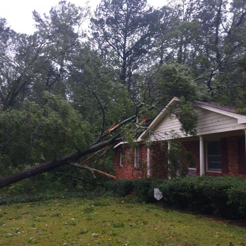 Roof with fallen oak tree damage during hurricane cleanup Roof with fallen oak tree damage during hurricane cleanup