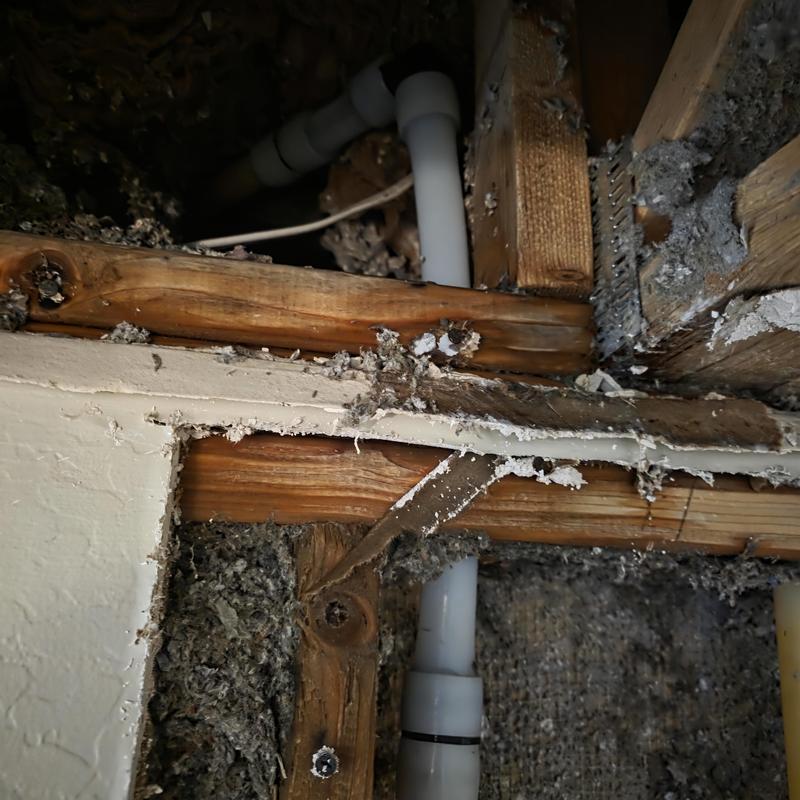 1-inch PEX piping leak behind drywall in ceiling cavity