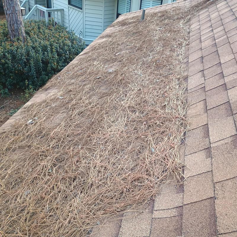 Steep shingle roof with heavy pine straw buildup Steep shingle roof with heavy pine straw buildup