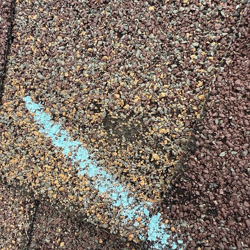 Asphalt shingles with hail damage marked in blue paint