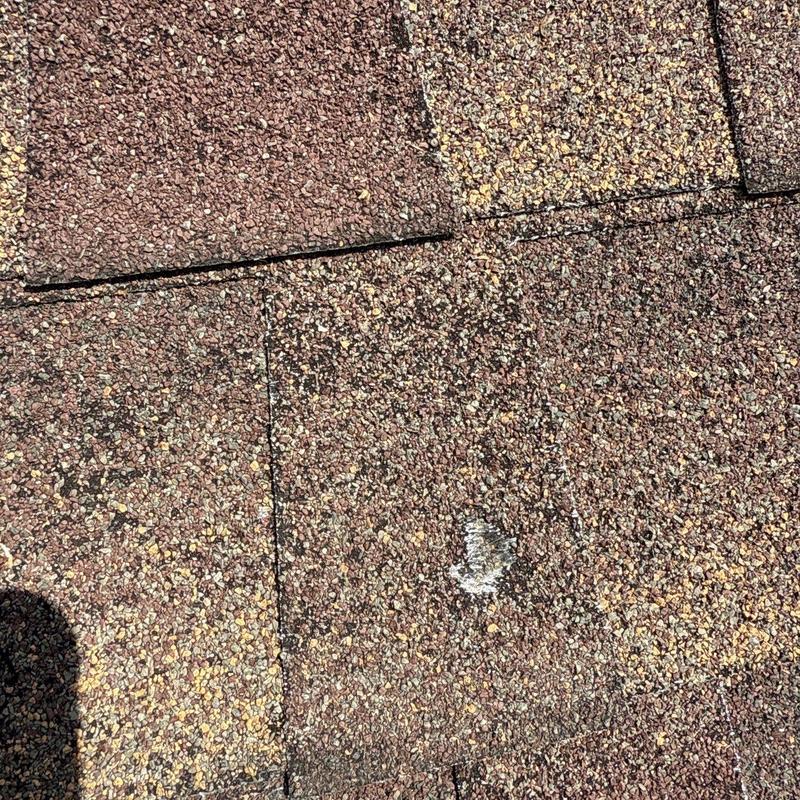 Asphalt shingle hail damage on residential roof