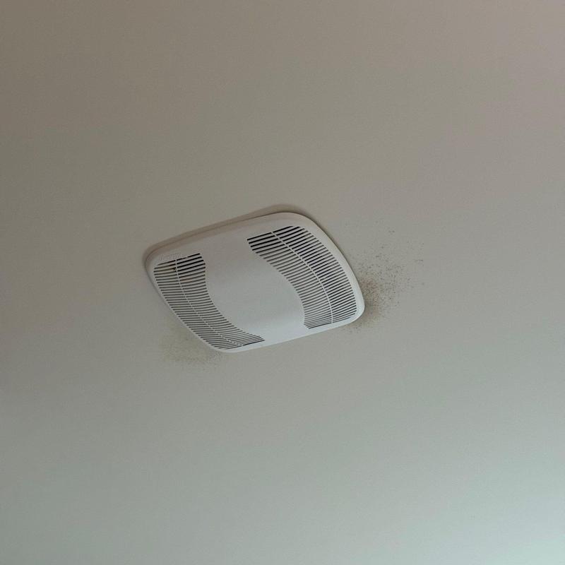 Bathroom exhaust fan with surrounding mold spots