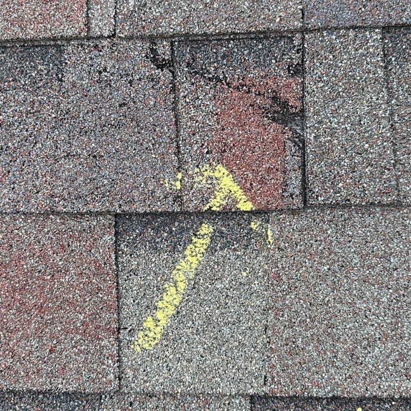Asphalt shingle hail damage marked with yellow arrow