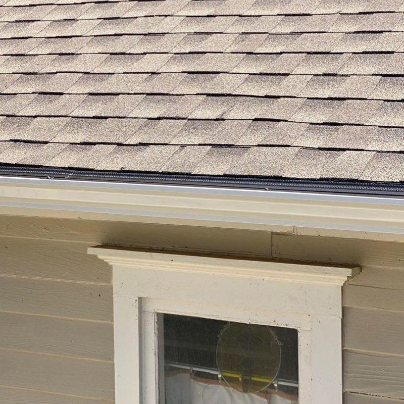 New Wave gutter screens on shingle roof edge