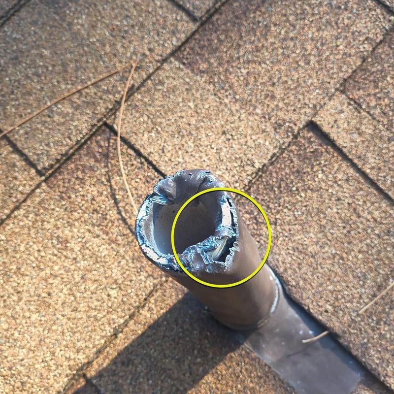 Lead pipe jack with squirrel damage on roof shingles Lead pipe jack with squirrel damage on roof shingles