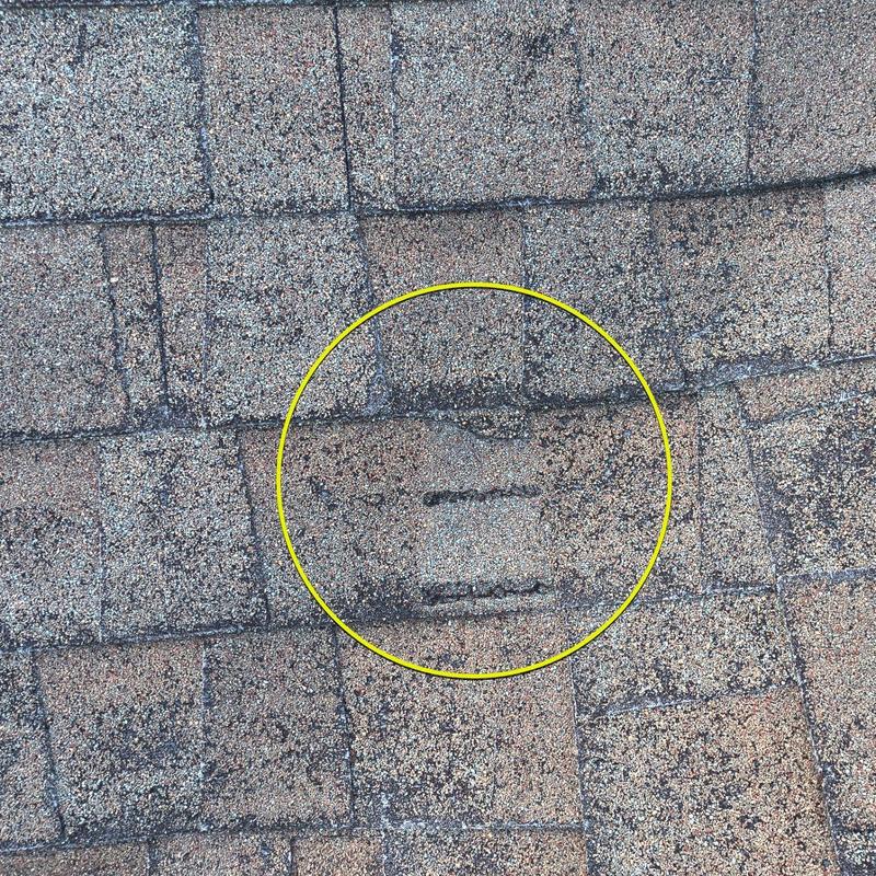 Roof shingles with wind and hail damage circle highlighted