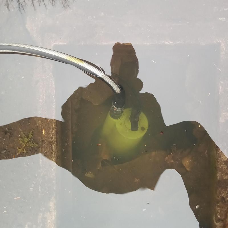 Drain sump pump with hose submerged in water Drain sump pump with hose submerged in water