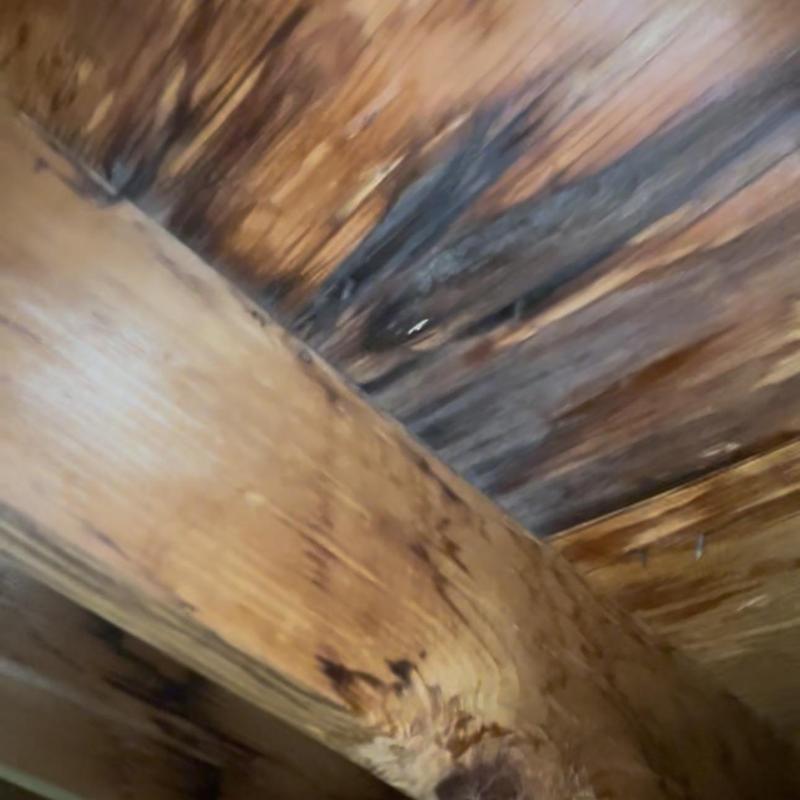 Roof decking with moisture damage and staining