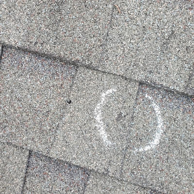 Asphalt shingles with hail damage marked in chalk
