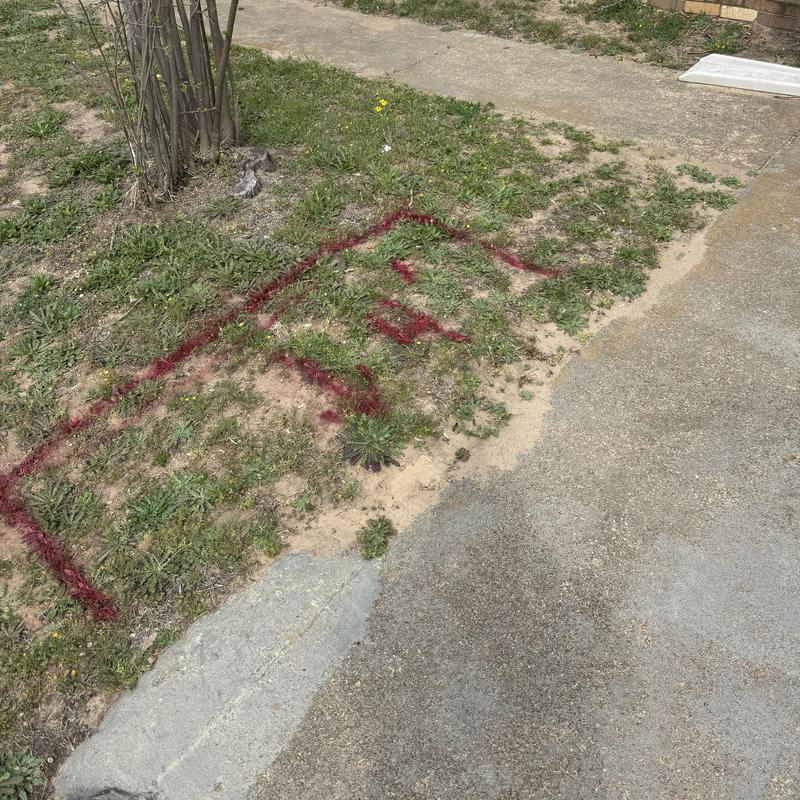 Sewer main clog location marked on sidewalk grass