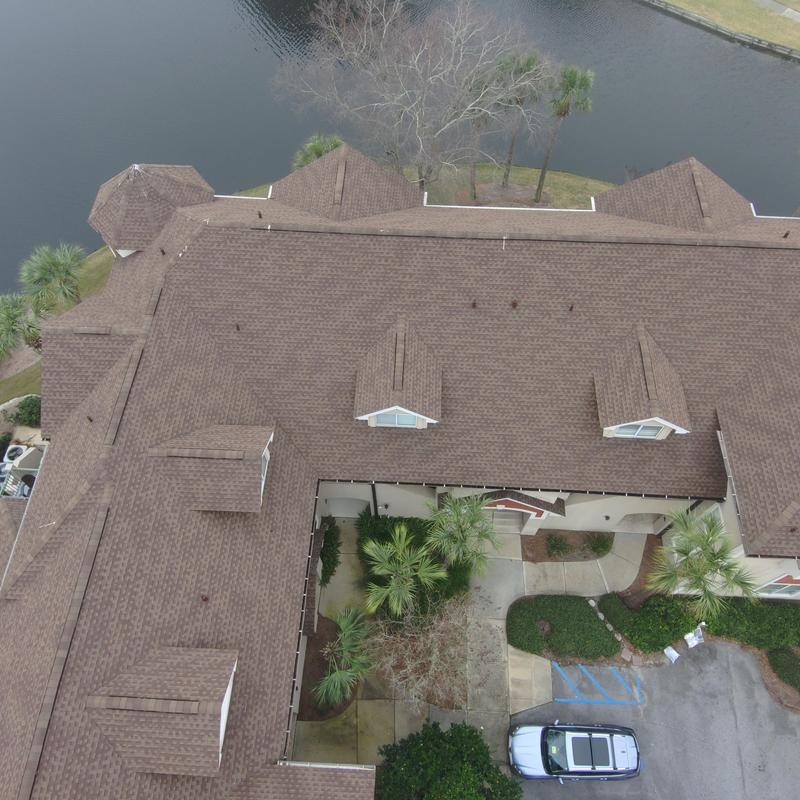 Roof shingles with squirrel pipe protectors and cleared pine straw